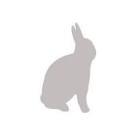 test product free shipping 10 cents
